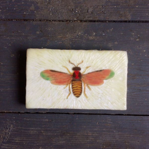 Encaustic Painting - Insect Art - Moth Art - Original Art - Photo Image Transfer -  Wood Panel -  Beeswax - Small Painting - Butterflyart