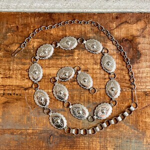 MOTHER Brown Resin Ring Chain Belt with Silver Links 90s Silver Tone Ring Chain Belt | Chaink Link Belt  main image 3