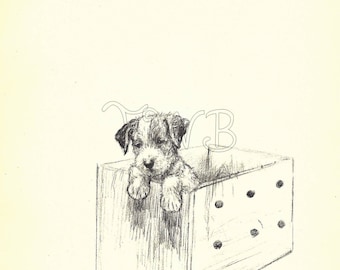 Original Puppy Print, 1930s Dog Print,  Terrier  Home Decor, Paper Ephemera, Book Page, Antique Illustration, Wall Decor, Puppies, A-12
