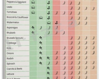 Vegetable Seeding Calendar Poster, Gardening Planting Guide, Seed Starting Chart (Canvas Print)