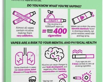 The Facts About Vaping Poster, Vaping Health Risks Wall Art, Nicotine Awareness Infographic, School Classroom Health Decor