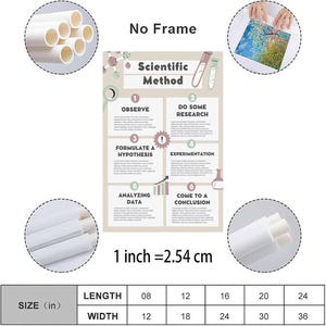 Pu&ograve; includere: Un poster educativo beige intitolato Scientific Method con sei passaggi numerati, icone di laboratorio e testo segnaposto. La stampa senza cornice &egrave; mostrata arrotolata con una tabella delle dimensioni da 20x30 a 61x91 cm.