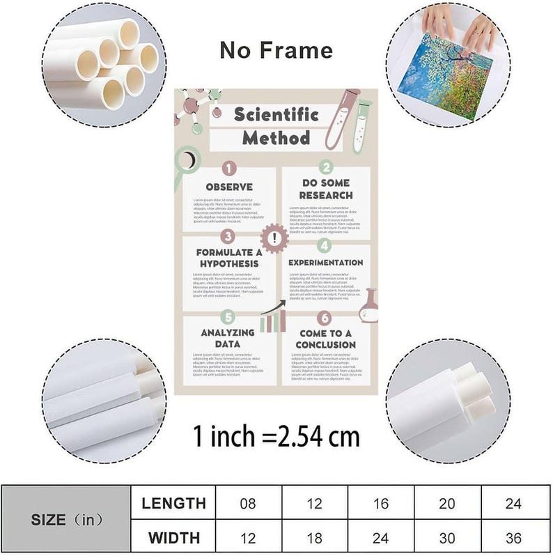 Pu&ograve; includere: Un poster educativo beige intitolato Scientific Method con sei passaggi numerati, icone di laboratorio e testo segnaposto. La stampa senza cornice &egrave; mostrata arrotolata con una tabella delle dimensioni da 20x30 a 61x91 cm.