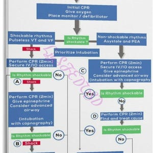May include: A rectangular wall chart titled Advanced Life Support featuring a medical flowchart with blue, green, and red boxes connected by arrows. The diagram outlines emergency cardiac protocols including CPR, rhythm analysis, and medication steps.