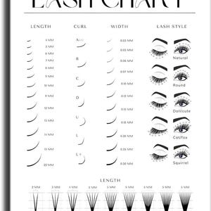 May include: A white informational lash chart with black text and graphics. It displays columns for length from 4 mm to 22 mm, curl types from A to L+, widths from 0.03 mm to 0.30 mm, and five eye styles. The bottom section illustrates 2D to 10D volume fans.