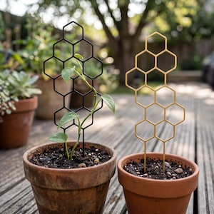 May include: Two honeycomb-shaped plant trellises, one in matte black and one in metallic gold, each featuring a hexagonal grid pattern. The black trellis supports a small green vine plant, while both are inserted into terracotta pots.