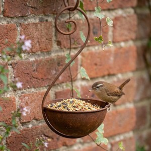 Może przedstawiać: Rustykalny karmnik dla ptak&oacute;w z ciemnobrązowego metalu z zakrzywionym, spiralnym uchwytem do zawieszania oraz okrągłą misą wypełnioną drobnymi nasionami. Mały brązowy strzyżyk z białym paskiem nad okiem siedzi na krawędzi misy i je ziarno.