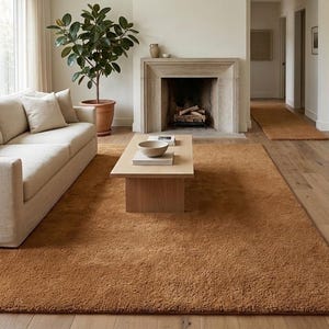 May include: A large, rectangular, solid-coloured area rug in a warm, earthy terracotta brown hue. The rug features a dense, plush, shaggy texture that covers the floor space in front of a light-coloured sofa and a wooden coffee table.