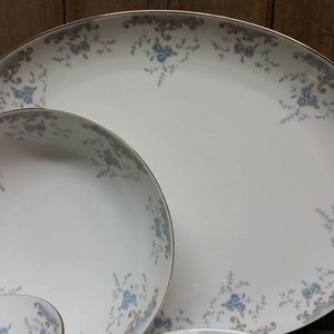 Imperial china Seville pattern 5303 by W Dalton image 3