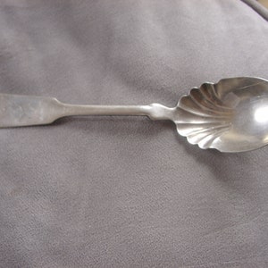 Cuchara de azúcar con diseño Shell TIPT de Holmes & Edwards