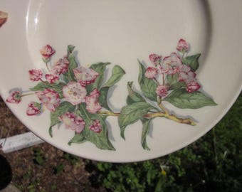 Lamberton restaurant china plate Sterling P-5