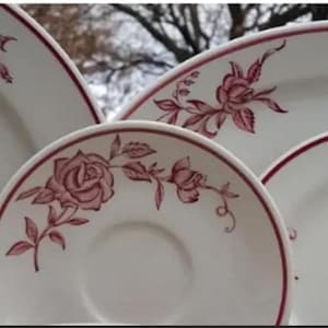 Mayer china  Sharon pattern 1950s roses transfer restaurant diner CHOICE
