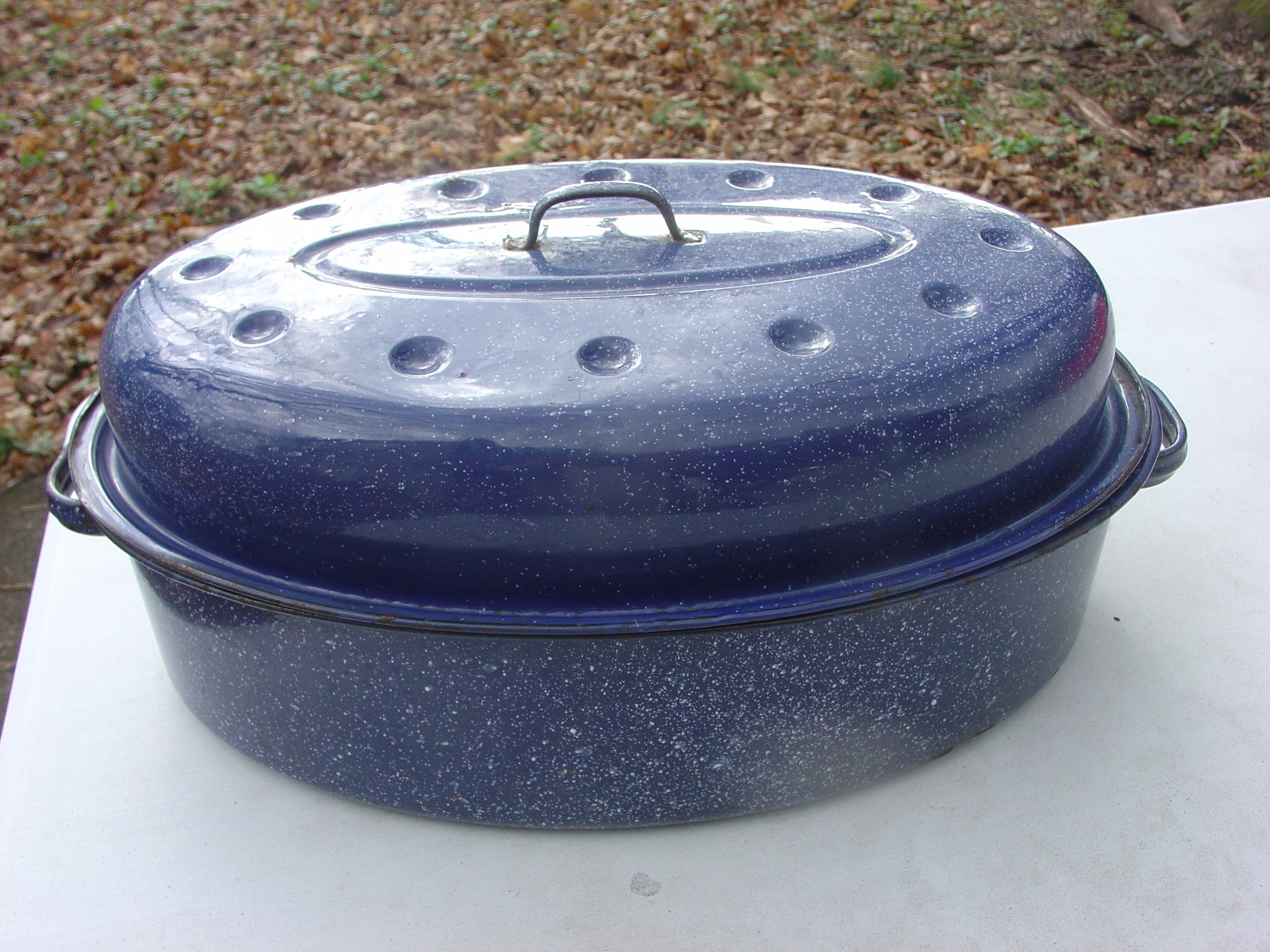 blue speckled enamel roasting pan