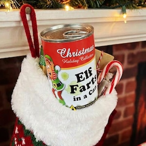 May include: A red, green, and white knit Christmas stocking with a white faux fur cuff. Inside the stocking is a cylindrical metal can labelled Christmas Holiday Collection Elf Farts in a Can, featuring an elf illustration, and a candy cane.