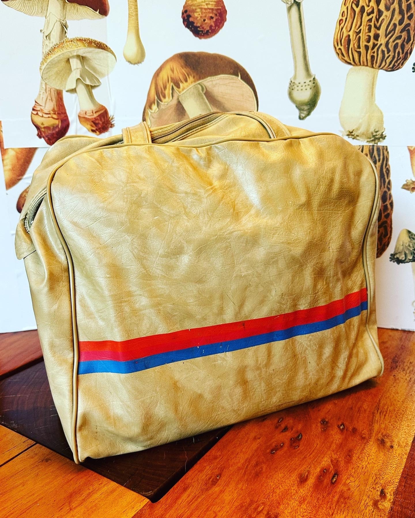 Boeing cloth travel bag