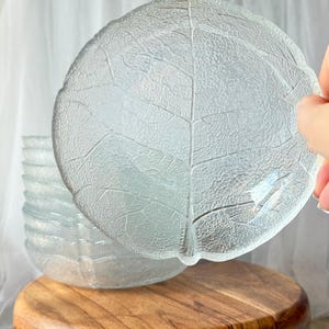 Può includere: Una pila di piatti in vetro trasparente a forma di foglia, caratterizzati da una superficie ruvida che imita le venature complesse e la struttura organica di una foglia naturale. I piatti sono traslucidi e lasciano passare la luce.