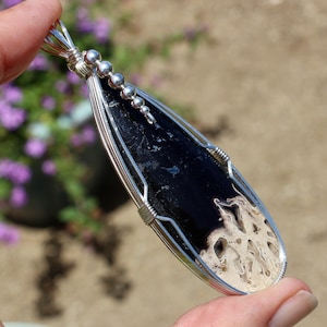 Large Petrified Palm Tree Root Wood Stone Pendant, Wire Wrap Pendant, Palm Tree Wood Root Fossil Necklace, Argentium Sterling Silver Wire