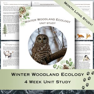 May include: A Winter Woodland Ecology 4 Week Unit Study educational document featuring a central circular photograph of a barred owl perched on a tree branch, surrounded by watercolor pinecone and eucalyptus illustrations and text.