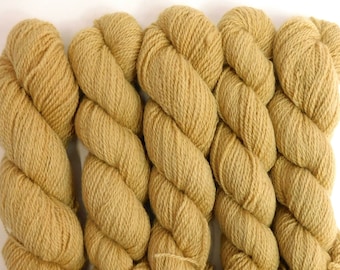 Buff Brown Chestnut BFL Sock 50g Blue Faced Leicester