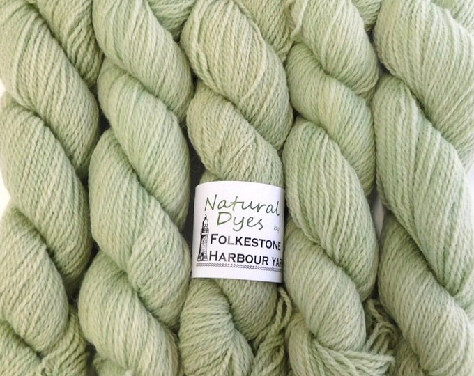 Chloropyllin Minty Green Kent Romney Sock 50g