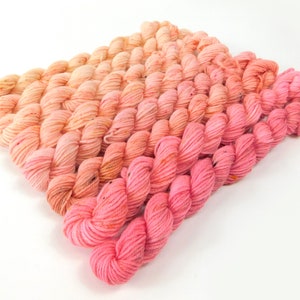 Rose Quartz  Speckled Gradient Sock Yarn Mini Skein Set      Superwash 80g