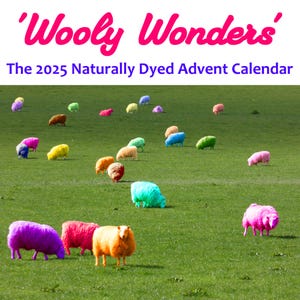 2025 Mystery Yarn Advent Calendar     Naturally Dyed Sock Yarn 10g daily   CAL or KAL