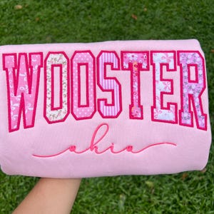 May include: A light pink sweatshirt featuring the word WOOSTER in large, block-style letters with various pink floral and striped patterns. Below the block text, the word ohio is embroidered in a cursive, dark pink script font.