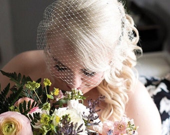 Ivory Birdcage Veil with Rhinestone Comb, Bridal Hair Accessory wedding hair bird cages birdcage veil hair comb Fascinator with veil Bridal