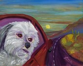 On the Road Again, Handmade Greeting Card from Merlin's Garden  FREE SHIPPING
