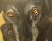 HUMPHREY, Original 12 X 12 Oil Painting of Dane/Lab mix with soulful eyes by Lesley Mills from Merlin's Garden Free domestic shipping
