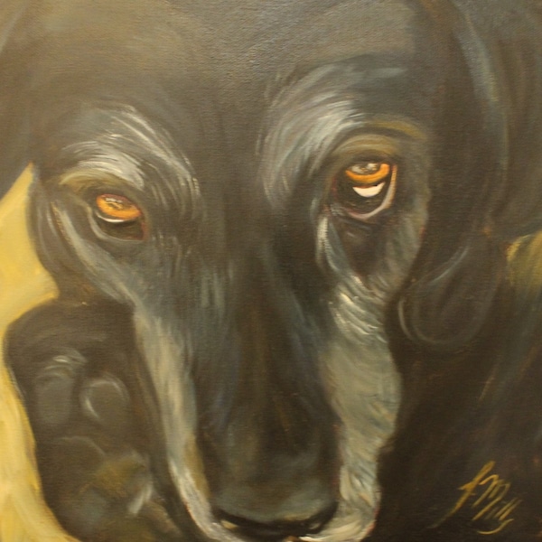 HUMPHREY, Original 12 X 12 Oil Painting of Dane/Lab mix with soulful eyes by Lesley Mills from Merlin's Garden Free domestic shipping