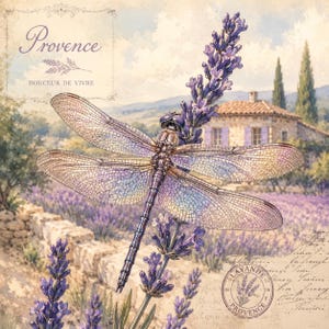 Puede incluir: Una ilustración detallada de una libélula con alas iridiscentes posada sobre un tallo de lavanda morada. El fondo muestra una casa de piedra en un campo de lavanda con el texto Provence y Douceur de vivre y un sello de Lavande Provence.