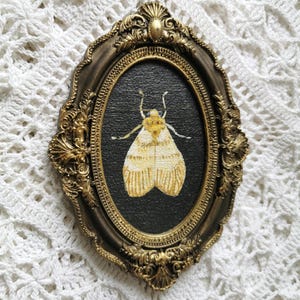 Hand-painted white moth artwork in an ornate bronze epoxy resin frame on a black background.