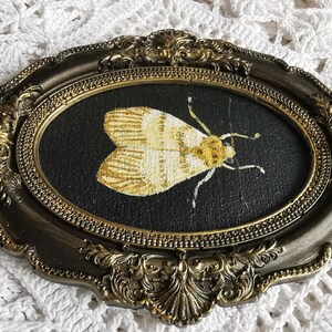Cottagecore moth painting featuring a white moth on black wood panel in an ornate resin frame.