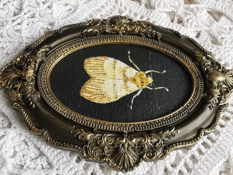 Cottagecore moth painting featuring a white moth on black wood panel in an ornate resin frame.