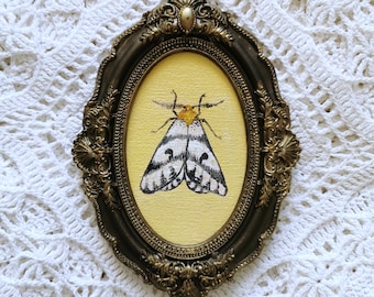 Handgemaltes Mottenbild, Vintage-Insektenillustration, antiker Bronzerahmen, gotisches Naturdekor