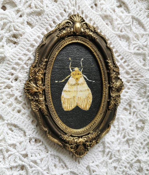 Hand-Painted Moth Wall Art, Ornate Bronze Frame, Acrylic on Wood, Gothic Cottagecore Decor