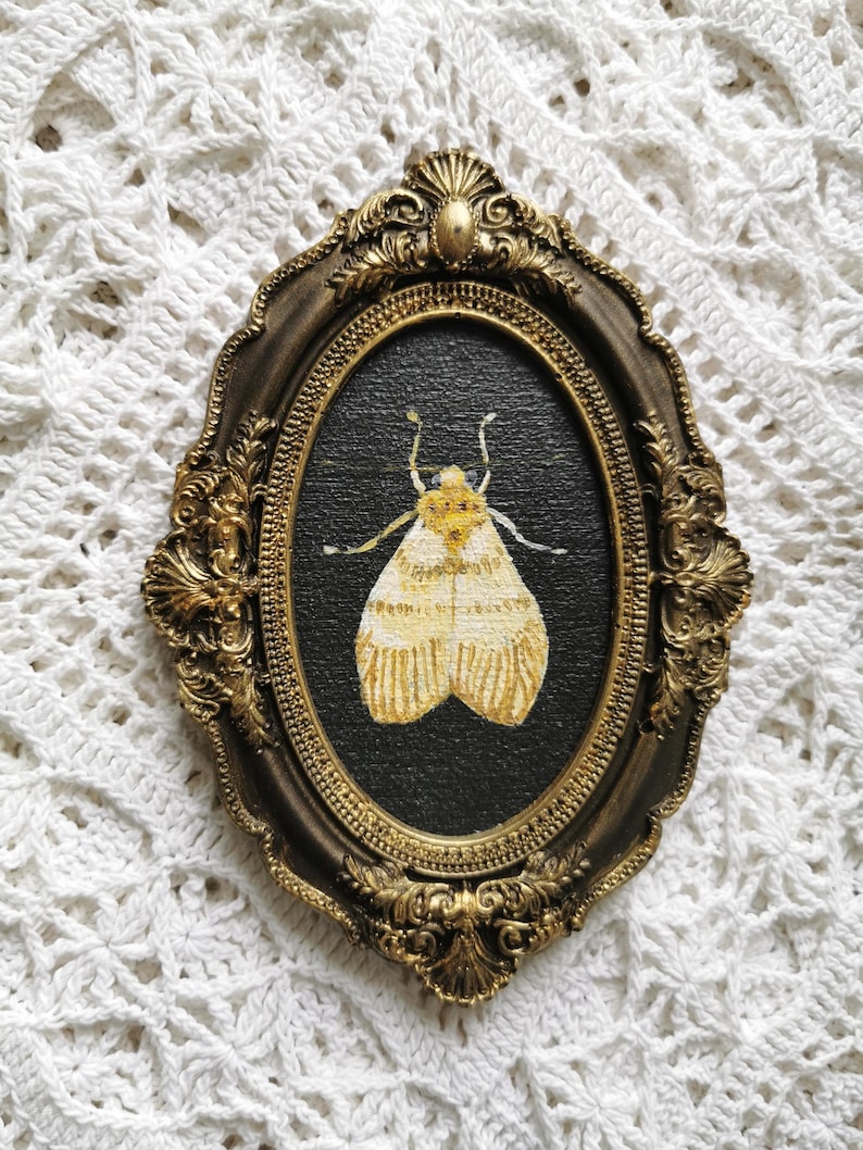 Handmade gothic moth wall art with antique bronze frame ready to hang.