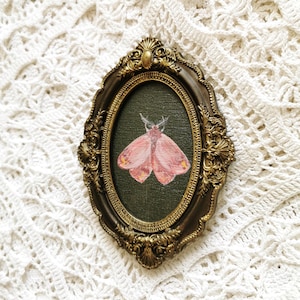 May include: An oval-shaped wall art piece featuring a painting of a pink moth centered on a dark green background. The artwork is encased in an ornate, metallic gold-toned frame with intricate embossed detailing along the outer edges.