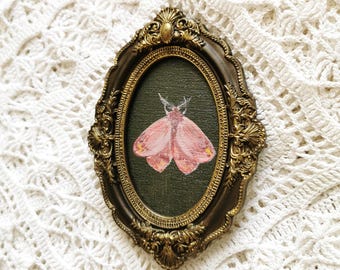 May include: An oval-shaped wall art piece featuring a painting of a pink moth centered on a dark green background. The artwork is encased in an ornate, metallic gold-toned frame with intricate embossed detailing along the outer edges.
