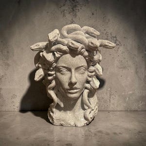 May include: A light gray stone-textured sculpture of a human head with multiple snakes replacing hair. The face features neutral expressions with defined eyes, nose, and lips, while the snakes are coiled around the head and neck area.