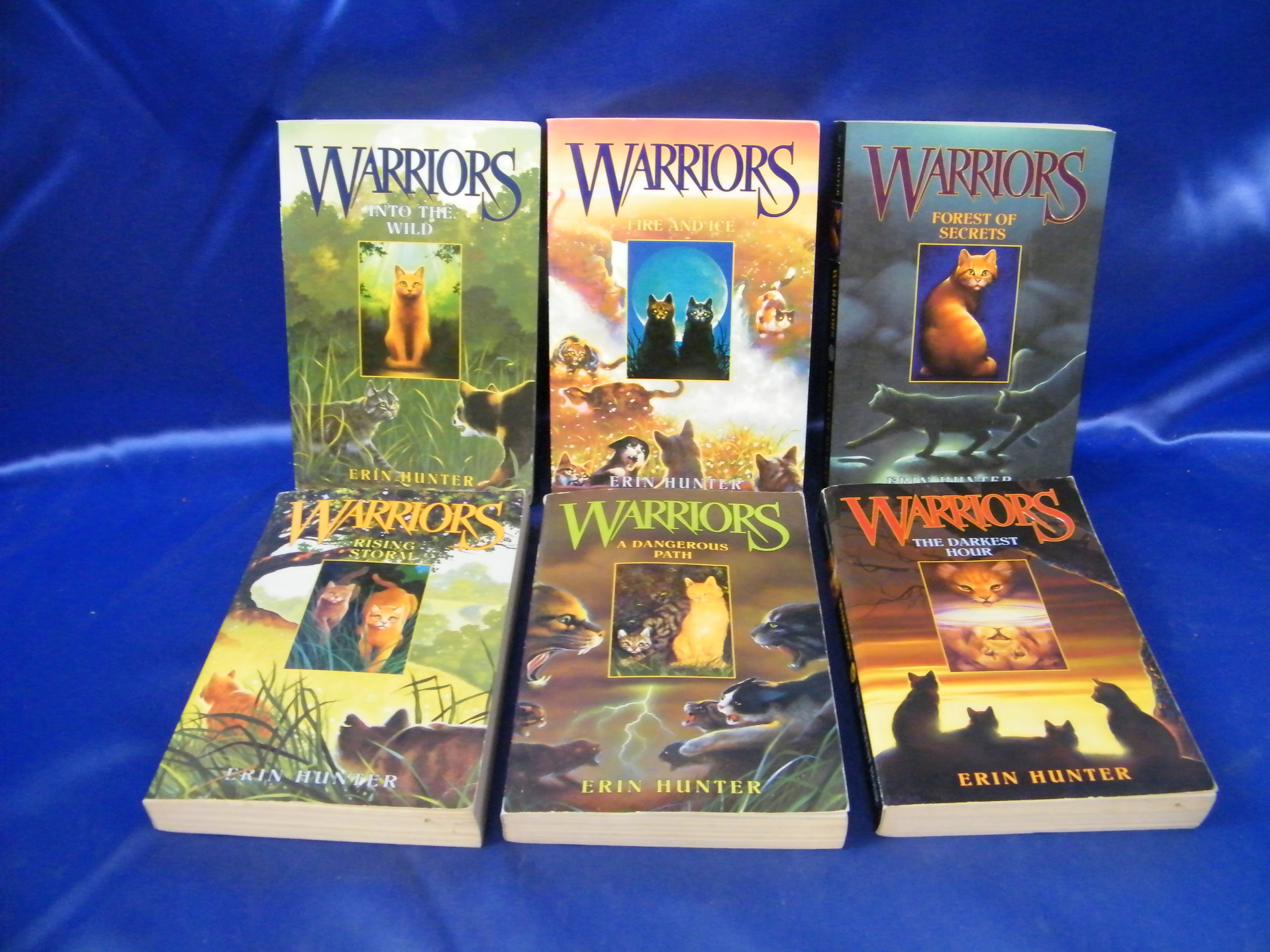 Warriors Fire And Ice Book