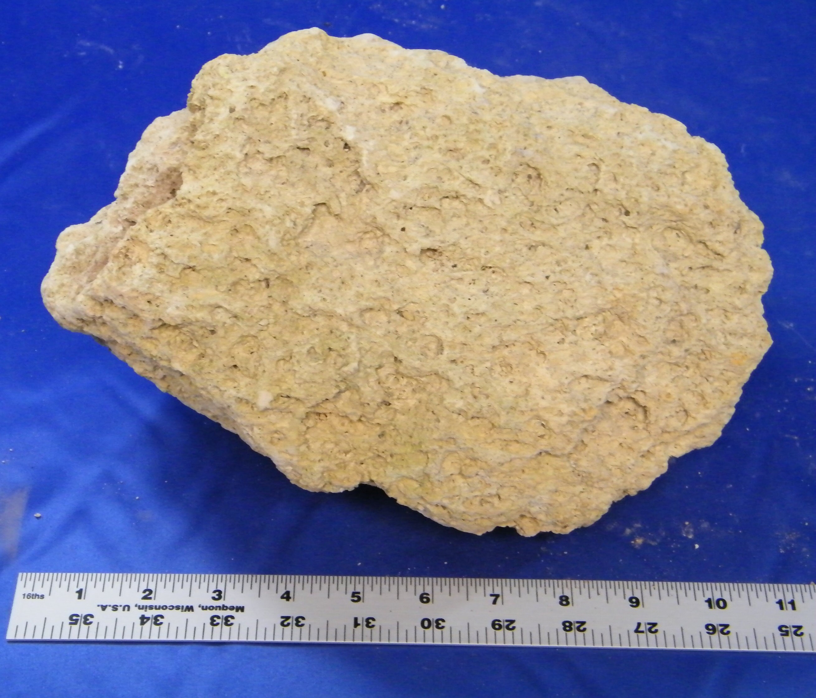 MYSTERY Pumice Box SAMPLE PHOTOS One Large Priority Box Chock Full