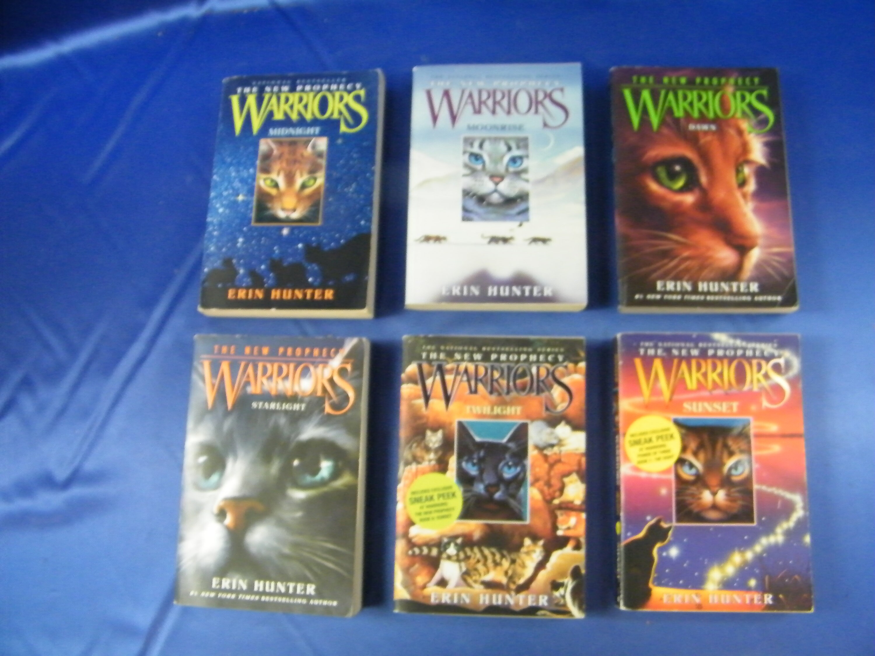 Warrior Cats by Erin Hunter: Series 2 The New Prophecy 6 Books Collection  Set - Ages 8-12 - Paperback