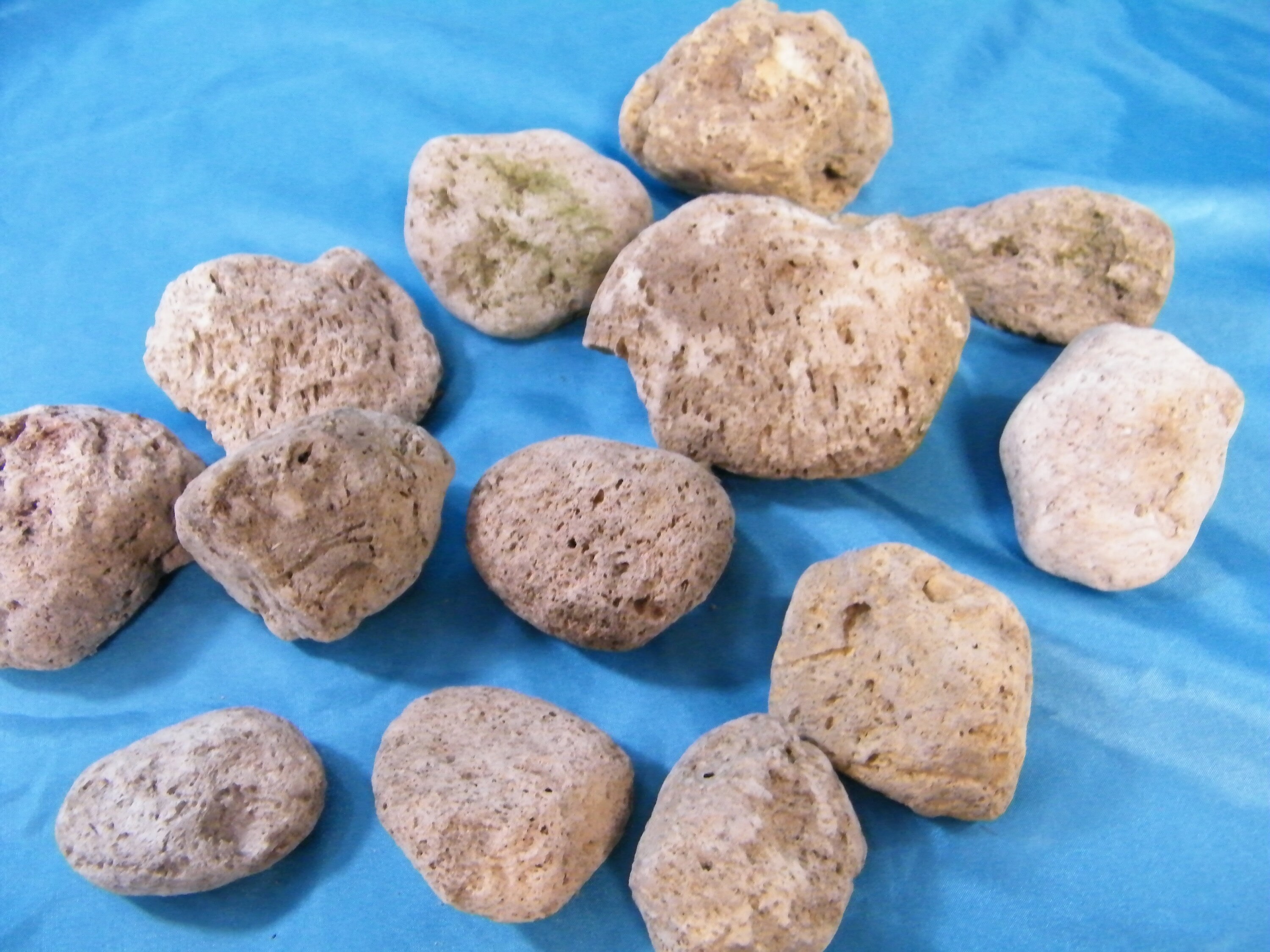 Pumice Stones Natural Pumice Rocks 13 stones Lot 3 Etsy