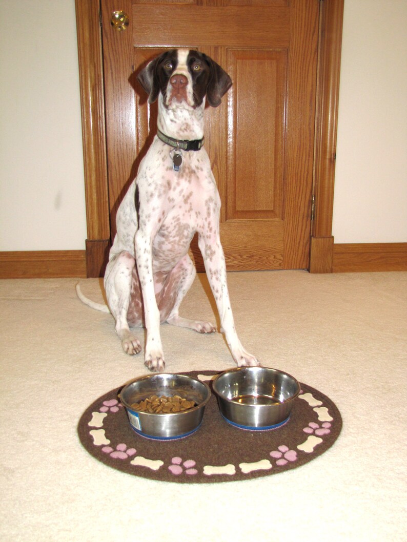 20 OFF PATTERN Lily's Pad Dog Feeding Mat In Wool Etsy