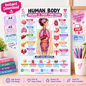 Puede incluir: Un póster educativo titulado Human Body Organs & Their Functions, que presenta una ilustración anatómica central de un torso humano con órganos etiquetados, incluidos el cerebro, el corazón, los pulmones, el estómago, el hígado, los intestinos y los riñones.