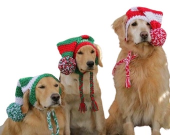 dog hats canada