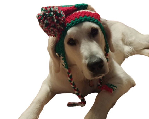 dog hats canada