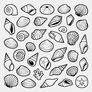 May include: A collection of black and white line art illustrations featuring various seashells, including spiral conch shells, bivalve clams, fan-shaped scallops, and circular sand dollars, arranged in a scattered pattern on a light background.